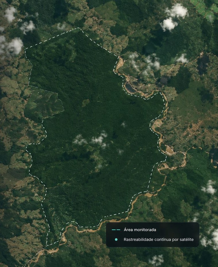 Imagem de satélite da área sob monitoramento contínuo, com o limite do polígono demarcado e legenda de rastreabilidade