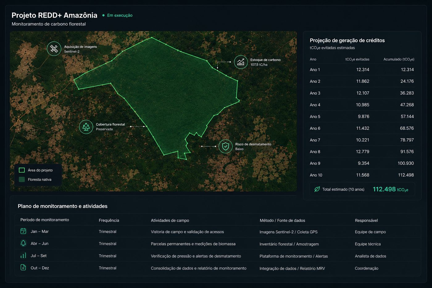 Painel do projeto REDD+ Amazônia com projeção de geração de créditos de carbono
